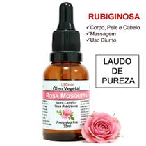 Rosa Rubiginosa 100% Puro Clareador de Manchas 30ml - UTÓleos