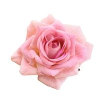 Rosas Artificiais De 10CM, 10 Peças, Plantas Decorativas Para Casamento, DIY, Decoração De Natal,
