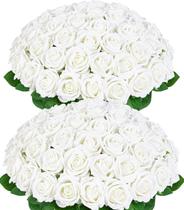 Rosas Artificiales BLEUM CADE 50 Pzs Terciopelo Blanco Tallos de 51 cm