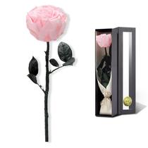Rosas cor-de-rosa preservadas SoFLiv para presentes de aniversário para mamãe