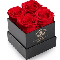 Rosas Preservadas Impouo Fresh - Entrega em Caixa