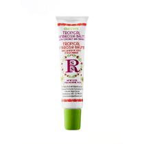 Rosebud salve protetor labial tropical ambrosia bisnaga lip balm