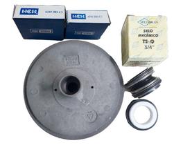 Rotor Compatível Jacuzzi 1/3 cv + Selo E Rolamentos 6201 6203