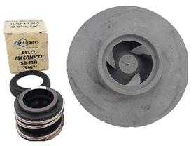 Rotor Para Bomba De Piscina Dancor 807 3/4Cv + Selo Mecânico