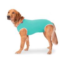 Roupa Cirúrgica Confortpet Regular Macho e Fêmea Verde para Cães - Tamanho 13 Roupa Cirúrgica Confortpet Regular Macho e Fêmea Verde para Cães - Tamanho 13