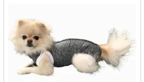 Roupa cirúrgica, macacão pós cirúrgico, cão e gato