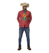 Roupa Festa Junina Camisa Xadrez Masculina Vermelha - Fantasias Carol FSP