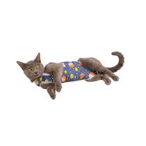 Roupa Gato Pós Cirúrgica Castração Pequeno Príncipe Azul Roupa Gato Pós Cirúrgica Castração Pequeno Príncipe Azul