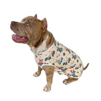 Roupa Pet Cães Porte Grande Coelhos