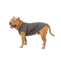 Roupa Pet Cães Porte Grande Grafite Roupa Pet Cães Porte Grande Grafite