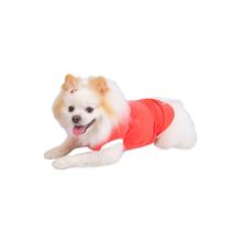 Roupa Pet Canelada Salmão Roupa Pet Canelada Salmão