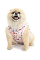 Roupa Pet Divertida Torre Rosê