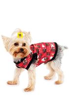 Roupa Pet Natal Magic Roupa Pet Natal Magic