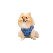 Roupa Pet Soft Bouclê Peluciado Tubarão