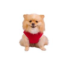 Roupa Pet Soft Bouclê Peluciado Vermelho