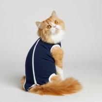 Roupa pós cirurgica castração com zíper para gato