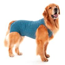 Roupa Pós Cirúrgica Castração Duo Dry Azul para Cães Macho - 0 Roupa Pós Cirúrgica Castração Duo Dry Azul para Cães Macho - 0