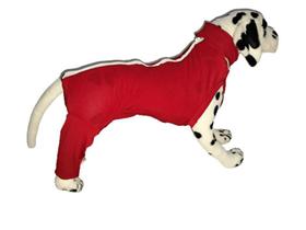 Roupa pós cirúrgica com pernas traseiras - macacão pet M - King Of Pets