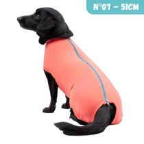 Roupa Pós Cirúrgica Dry Fit UV para Cachorro Pet Cães