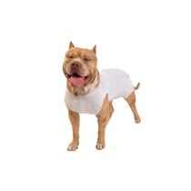 Roupa Pós Cirúrgica para Cachorro Castração Branca Macho UV