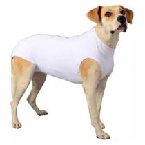 Roupa Pós Cirúrgica para Cachorro e Gato- Macacão pós cirúrgico pet cães e gatos