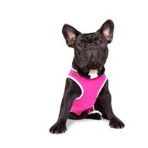 Roupa Pós Cirúrgica Para Cães Nº 1 (1 a 1,4 Kg) Roupa Pós Cirúrgica Para Cães Nº 1 (1 a 1,4 Kg)
