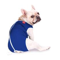 Roupa Pós Cirúrgica Para Cães Nº 3 (3,5 a 4,5 Kg)