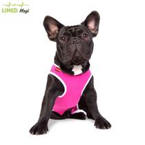 Roupa Pós Cirúrgica Para Cães Nº 6 (8 a 10 Kg) Roupa Pós Cirúrgica Para Cães Nº 6 (8 a 10 Kg)