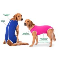 Roupa Pós Cirúrgica Para Cães Nº 7 (10 a 14 Kg)
