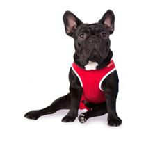 Roupa Pós Cirúrgica Para Cães Nº 7 (10 a 14 Kg) Roupa Pós Cirúrgica Para Cães Nº 7 (10 a 14 Kg)