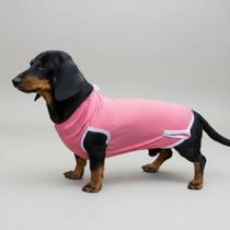 Roupa Pos Cirúrgica Para Castração com tiras autocolantes Para Cachorros