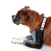 Roupa Protetora Cotoveleira Higroma Para Cães Pet Med - N 03