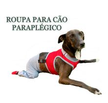 Roupa Protetora Para Cães Paraplégicos e Com Dificuldade de Locomoção Pernas Traseiras