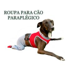 Roupa Protetora Pet Para Cachorro Que Se Arrasta e Paraplégico