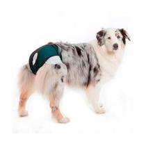 Roupa Protetora Petmed Higiênica para Fraldas e Cio Verde - Tamanho 3 Roupa Protetora Petmed Higiênica para Fraldas e Cio Verde - Tamanho 3