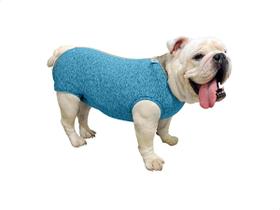 Roupa Protetora Pós Cirúrgica Buldogue Inglês Pet Med P Roupa Protetora Pós Cirúrgica Buldogue Inglês Pet Med P
