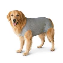 Roupa Protetora Pós Cirúrgica Para Castração de Cachorro Macho e Fêmea Tecido Dry Fit Com Proteção Solar