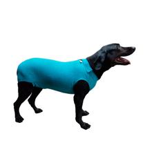 Roupa Protetora Pós Cirúrgica Pet Específica Para Castração de Cão Macho Tecido Dry Fit Com Proteção Solar