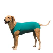 Roupa Protetora Pós-Cirúrgica Pet Para Castração de Cachorro Macho e Fêmea - Tecido de Algodão