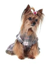 Roupa Roupinha Vestido Soft Pet Outono Inverno Cachorro Gato Fêmea Pickorruchos - Médio