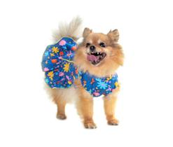 Roupa Vestido Verão Pet Cachorro Cães e Gatos Verão Pickorruchos - Tamanho 0