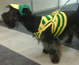 Roupinha Para Cachorro Gato Camiseta Regata do Brasil