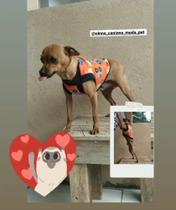 Roupinha pet Roupinha pet