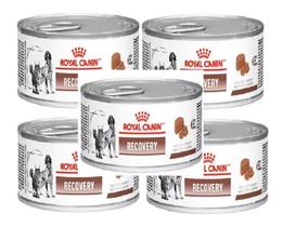 Royal Canin 5 Latas Recovery Para Cães E Gatos