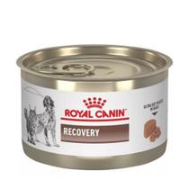 Royal Canin Pate Recovery Recuperação Cães e Gatos 195g
