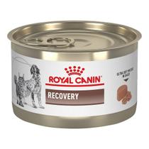 Royal Canin Recovery Ração de Recuperação para Cães e Gatos 195g