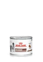 Royal canin recovery wet 195g