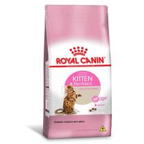 Royal Cat Kitten Stetilised