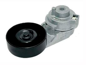 Rt6844 rolamento polia tensora da correia de acessorios ranger t4 - Roltens