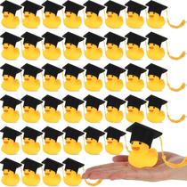 Rubber Ducks Jerify Graduation 2024 com boné Grad 48 unidades+3 anos Rubber Ducks Jerify Graduation 2024 com boné Grad 48 unidades+3 anos